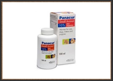 Panacur oral suspension