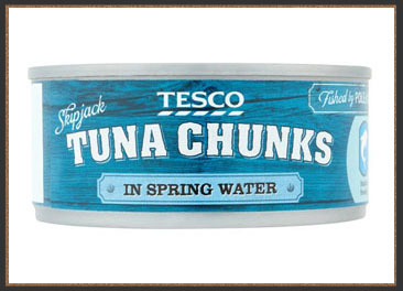 Tuna in spring water