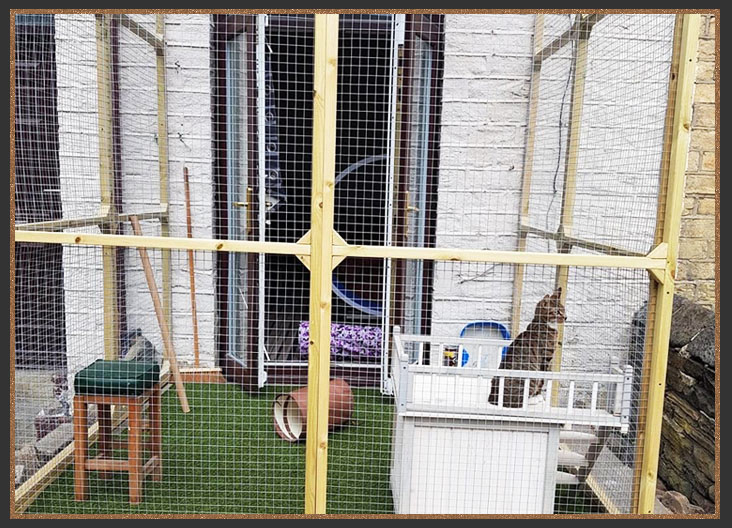 Cat enclosure/Catio