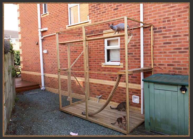 Cat enclosure/Catio