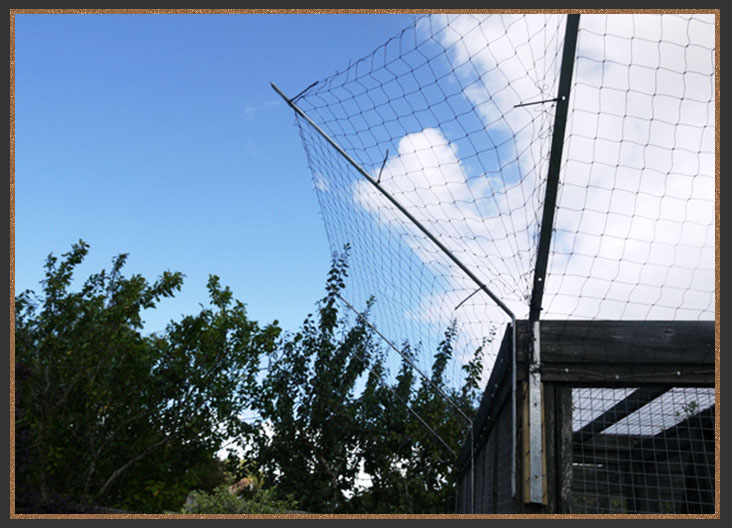 Cat proofed garden fencing