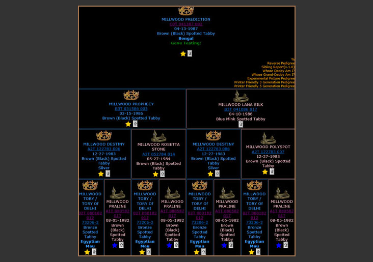 An example of a Millwood pedigree which traces back to Tory of Deli