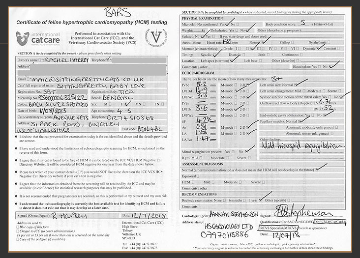 Certificate of HCM testing