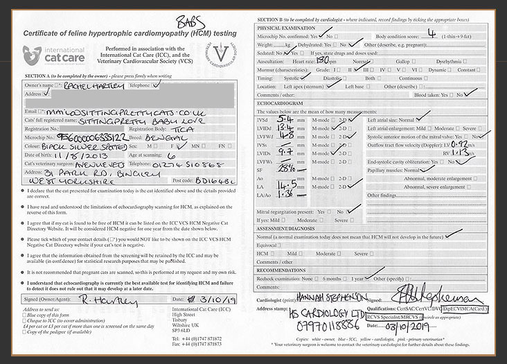 Certificate of HCM testing