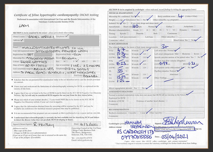 Certificate of HCM testing