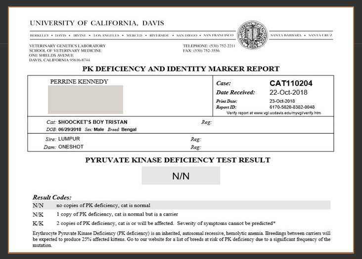 Langford veterinary services genetic test results