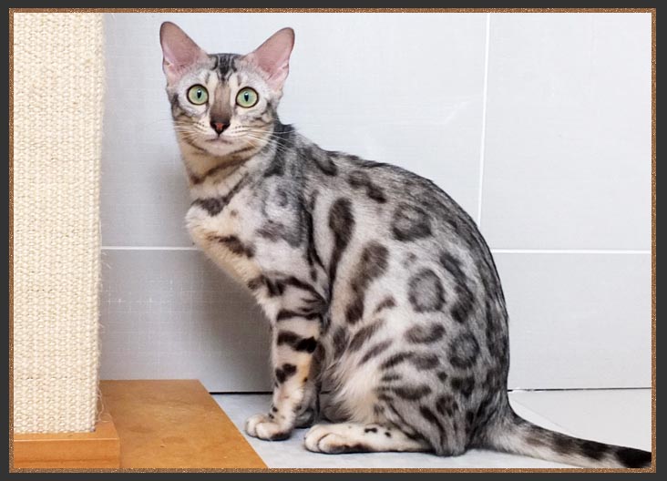 Born To Be Kind Mary Poppins Of Sittingpretty