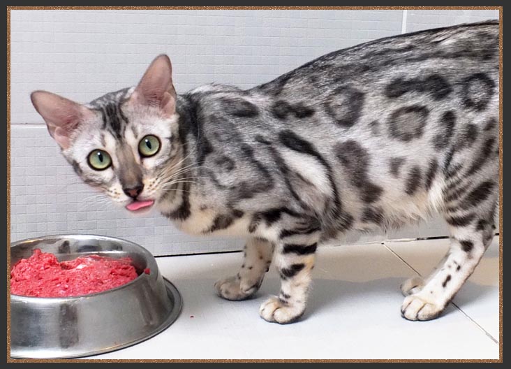 Born To Be Kind Mary Poppins Of Sittingpretty