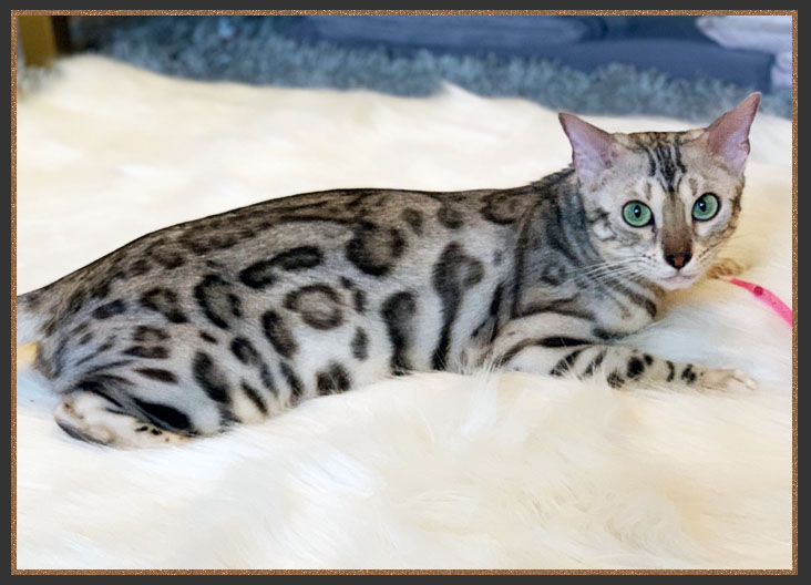 Born To Be Kind Mary Poppins Of Sittingpretty