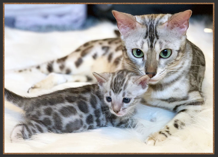 Born To Be Kind Mary Poppins Of Sittingpretty