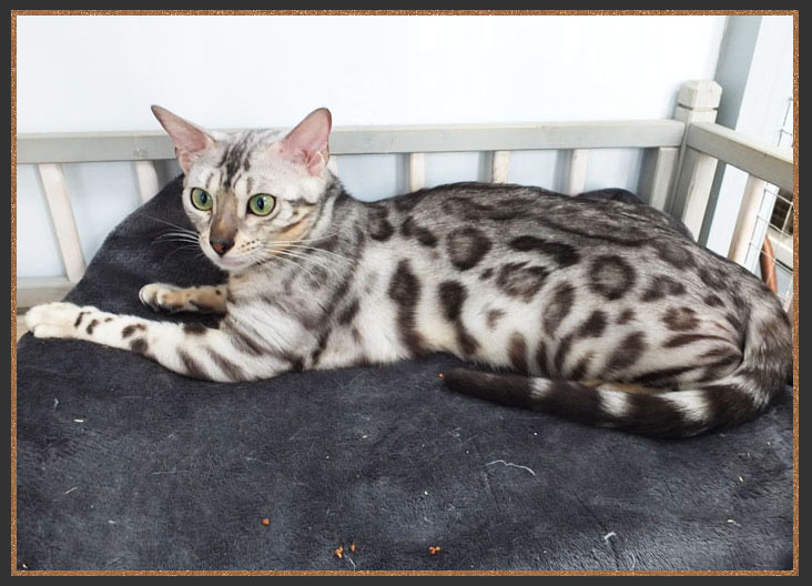 Born To Be Kind Mary Poppins Of Sittingpretty