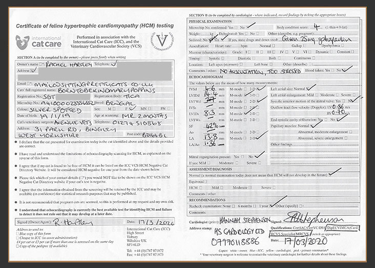 Certificate of HCM testing