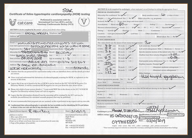 Certificate of HCM testing