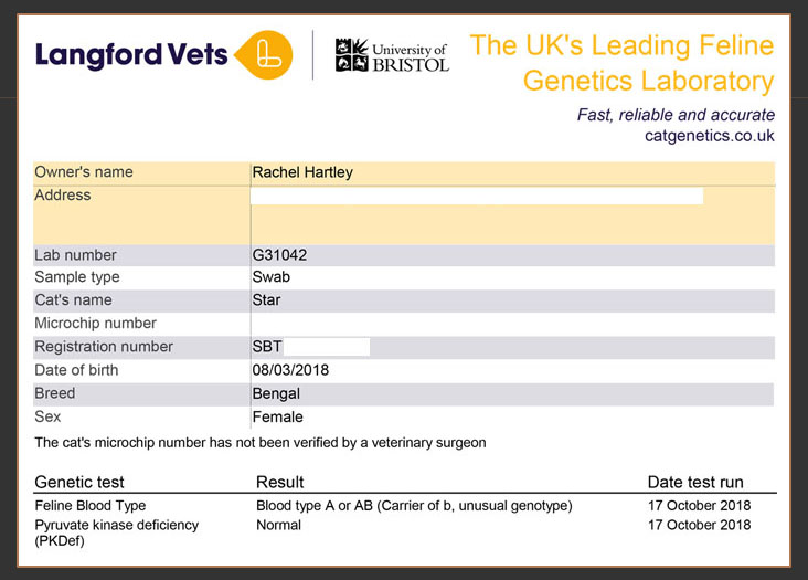 Langford veterinary services genetic test results