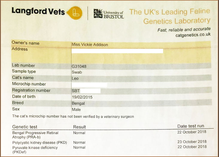 Langford veterinary services genetic test results