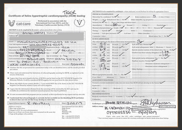 Certificate of HCM testing