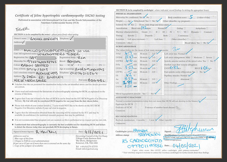 Certificate of HCM testing