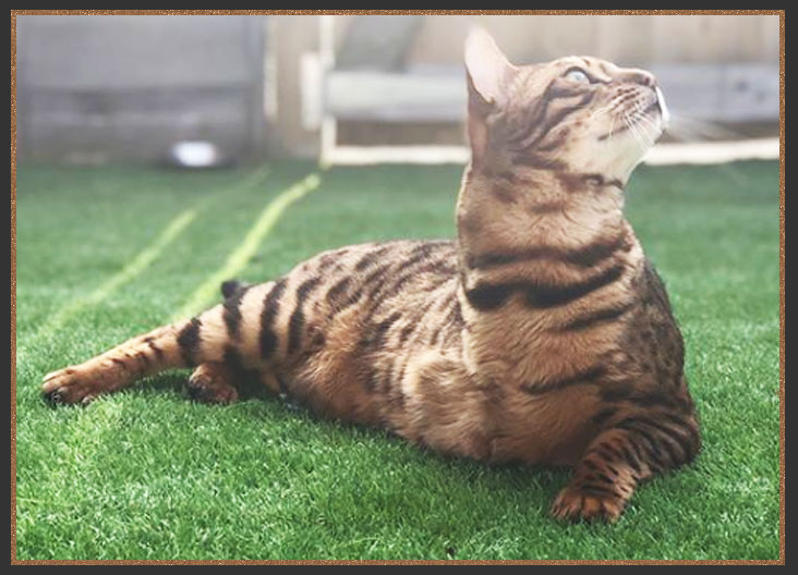 Sittingpretty Jazzy Jeff