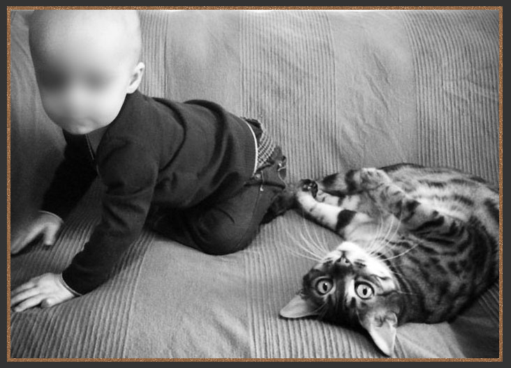 My son Buddy with my pet Bengal Smudge