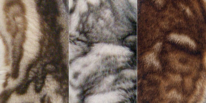 Bengal marbled patterns