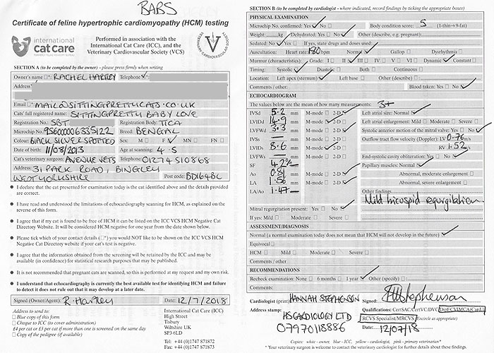 Certificate of HCM testing