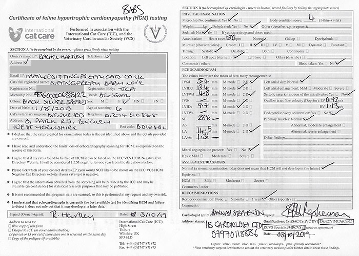 Certificate of HCM testing