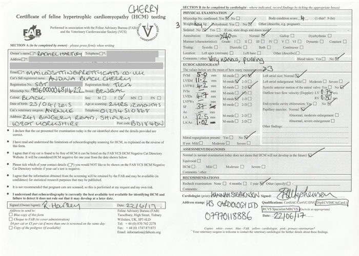 Certificate of HCM testing