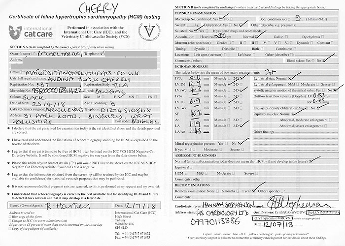 Certificate of HCM testing