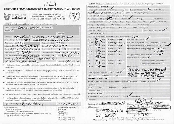 Certificate of HCM testing