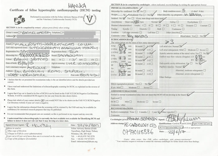 Certificate of HCM testing