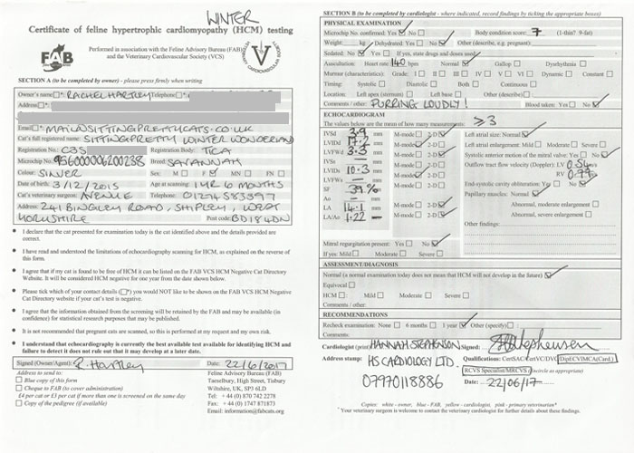 Certificate of HCM testing