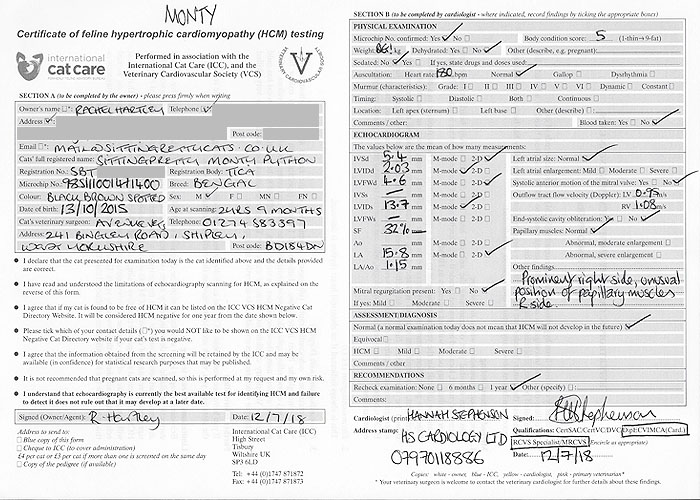 Certificate of HCM testing