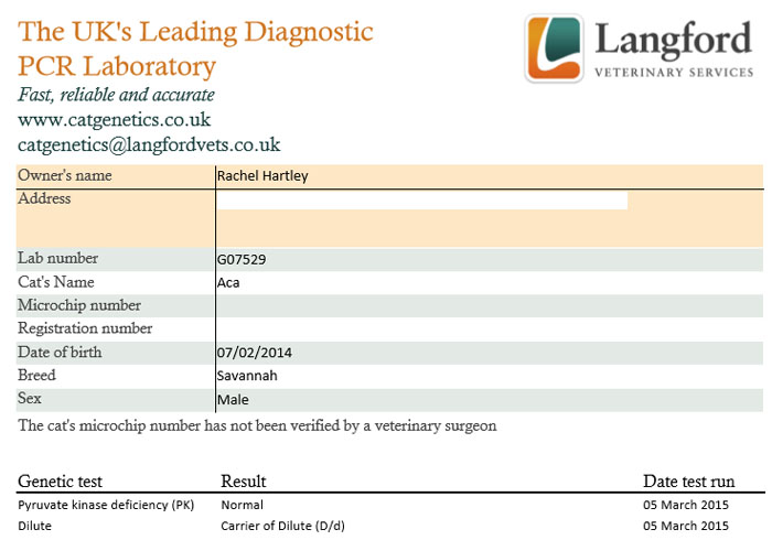 Genteic test results