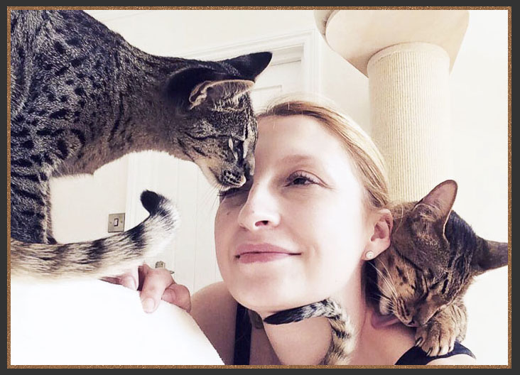 F7 SBT Brown spotted Savannah Sittingpretty Dennis The Menace