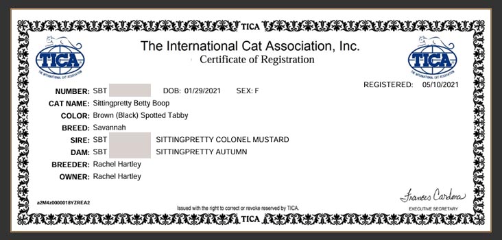 Tica Registration document