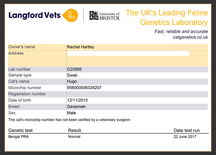 Langford veterinary services genetic test results