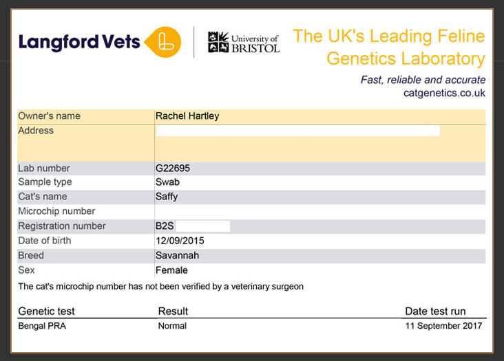 Langford veterinary services genetic test results