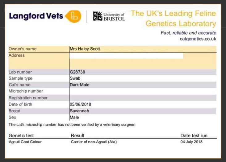 Langford veterinary services genetic test results