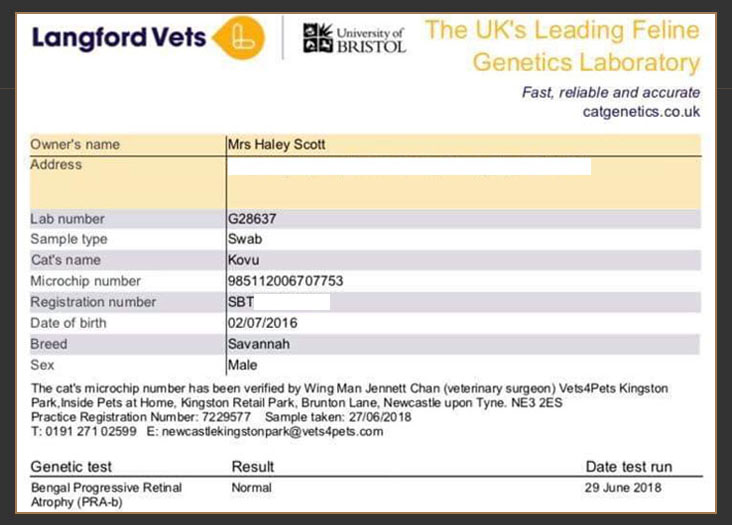 Langford veterinary services genetic test results