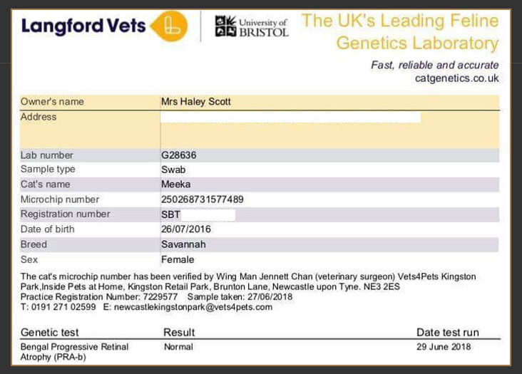 Langford veterinary services genetic test results