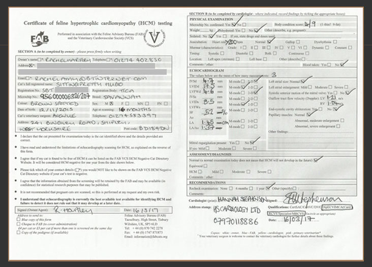 Certificate of HCM testing