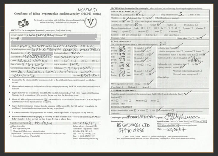 Certificate of HCM testing