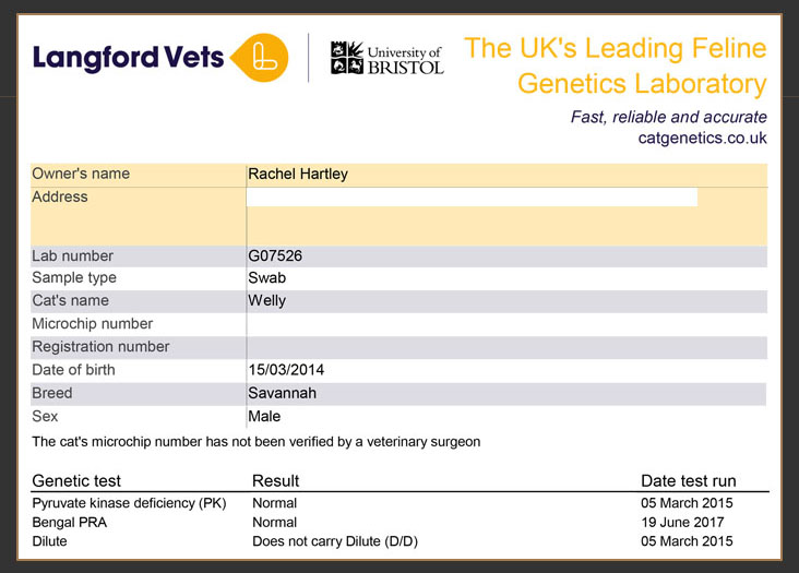 Langford veterinary services genetic test results