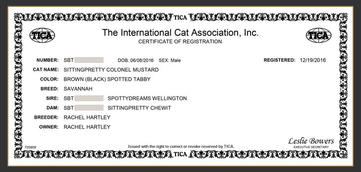 Tica Regsitration for Sittingpretty Monty Python